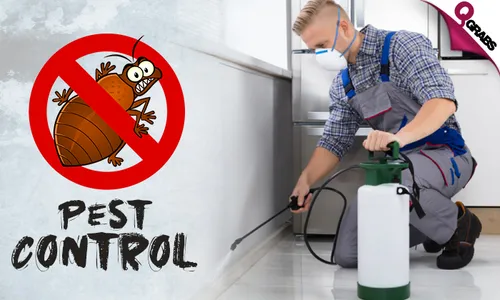Pest Control: Cockroach & Bedbug Treatment Services!